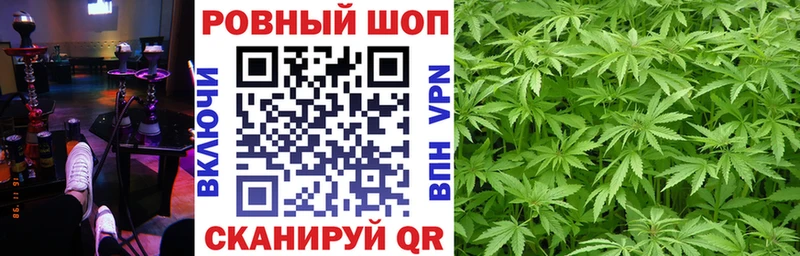 Хочу наркоту Белинский Конопля  Alpha-PVP  Гашиш  Галлюциногенные грибы  МЕФ 