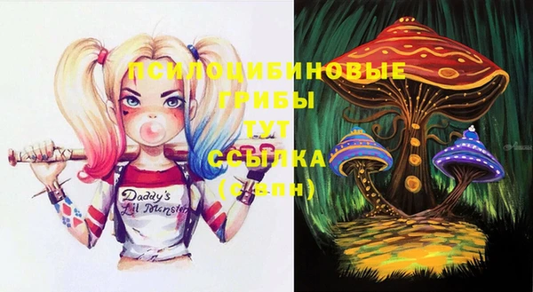 гидропоника Аркадак