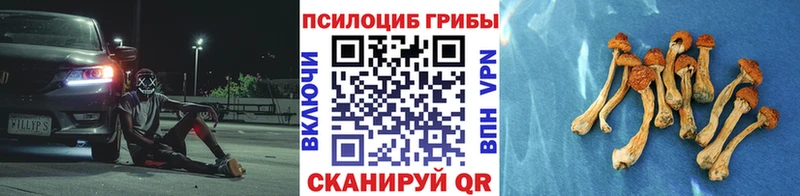 Псилоцибиновые грибы прущие грибы  ОМГ ОМГ ссылка  Белинский 